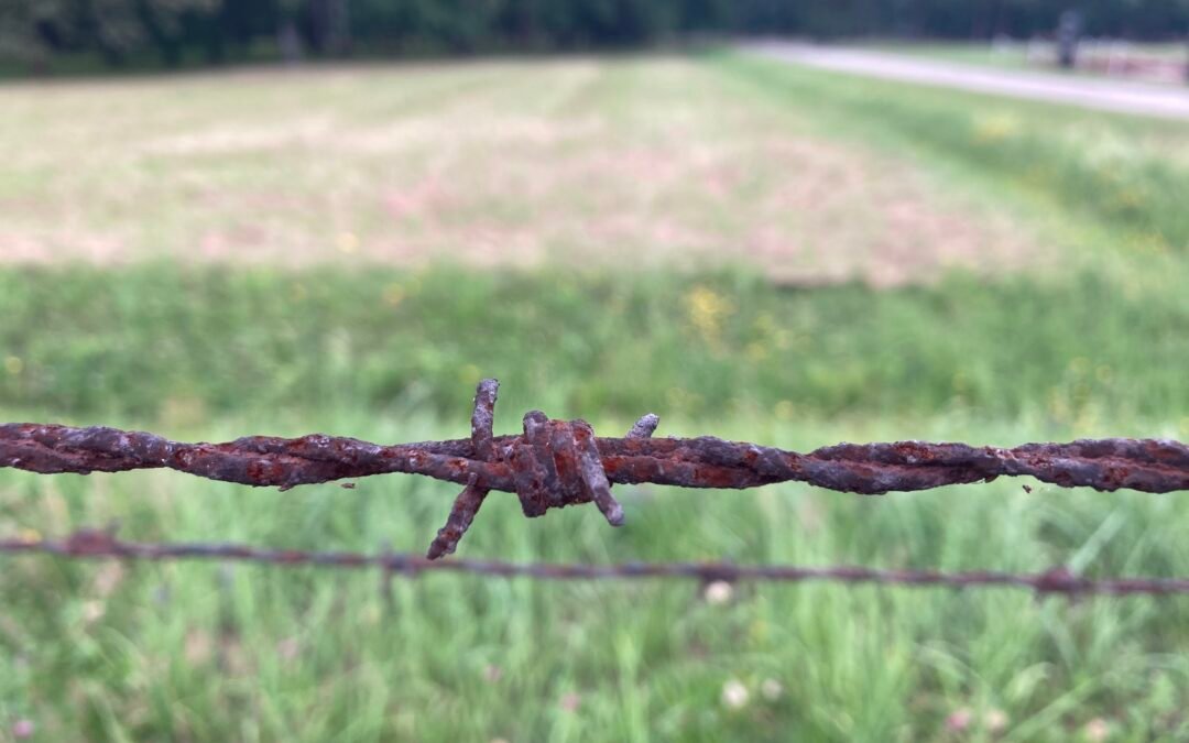 Gedenkstättenfahrt der 10. Klassen nach Auschwitz und Krakau