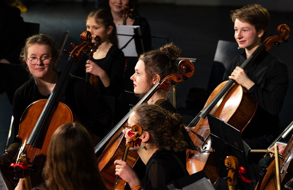 Kammerphilharmonie-"Musica Viva" Landesmusikgymnasium Rheinland-Pfalz