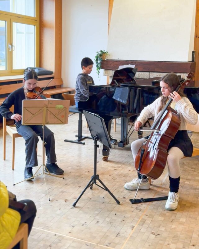 lmg-info-tag-2024 Ensemble Streicher